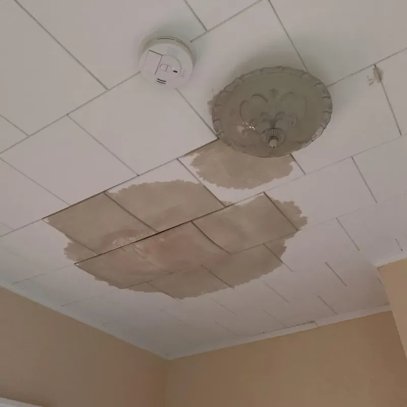 Ceiling Water Damage Repair in Village of the Branch, NY