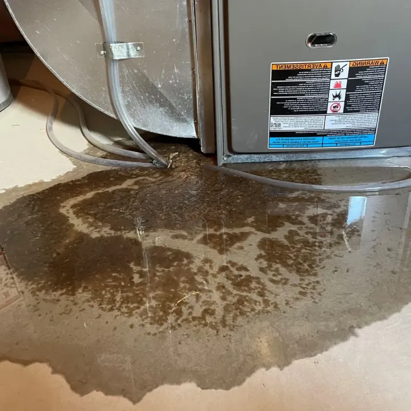 Pipe Burst and Leak Restoration in Village of the Branch, NY