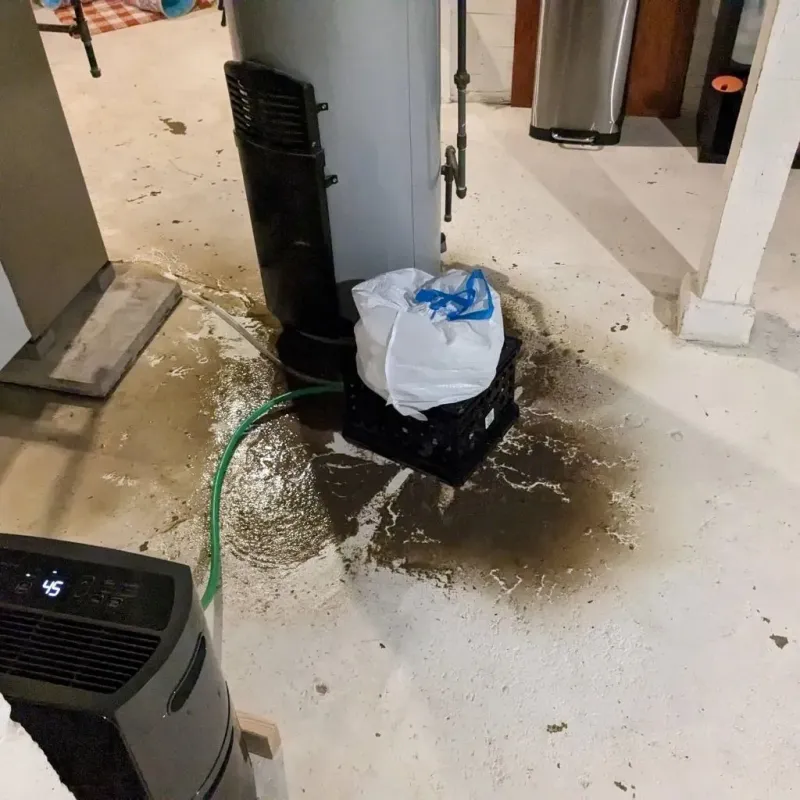 Sewage Backup Cleanup Service in Village of the Branch, NY